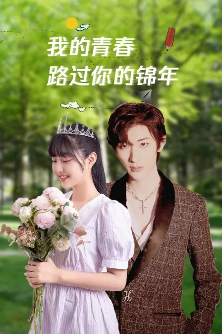 我的青春路过你的锦年