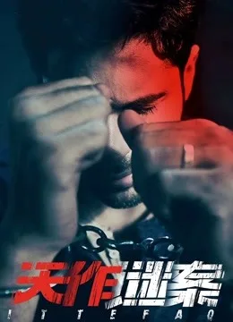 天作谜案国语