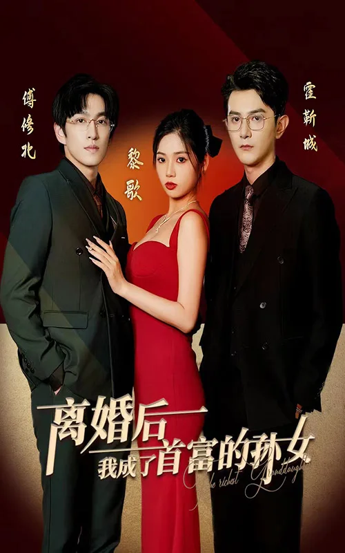 离婚后,我成了首富的孙女