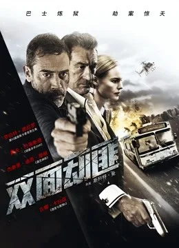 双面劫匪国语