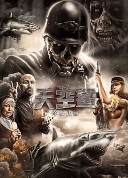 天空鲨:终极武器国语