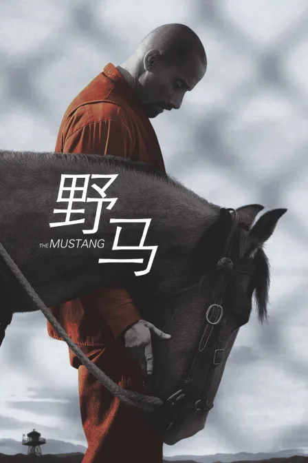 野马