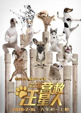 营救汪星人